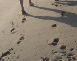 Renewing Your Commitment to Christ’s Call